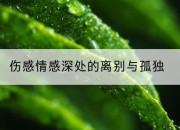 伤感情感深处的离别与孤独