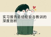 实习报告总结经验与教训的深度剖析