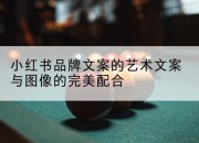 小红书品牌文案的艺术文案与图像的完美配合