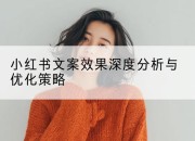 小红书文案效果深度分析与优化策略