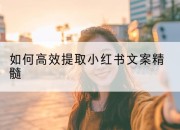 如何高效提取小红书文案精髓