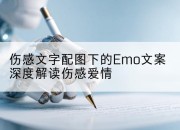 伤感文字配图下的Emo文案深度解读伤感爱情