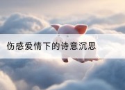 伤感爱情下的诗意沉思
