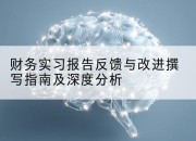 财务实习报告反馈与改进撰写指南及深度分析