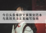 今日头条爆款文案策划范本与高效关注文案编写指南