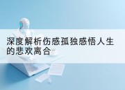 深度解析伤感孤独感悟人生的悲欢离合
