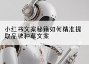 小红书文案秘籍如何精准提取品牌种草文案