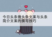 今日头条微头条文案与头条简介文案的撰写技巧