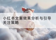 小红书文案效果分析与引导关注策略