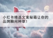 小红书精选文案秘籍让你的品牌瞬间种草!