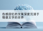 伤感回忆的文案深度沉浸于情感文字的世界