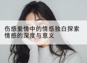 伤感爱情中的情感独白探索情感的深度与意义