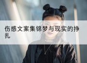 伤感文案集锦梦与现实的挣扎