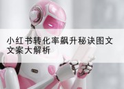 小红书转化率飙升秘诀图文文案大解析