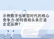 示例数字化转型时代的核心竞争力-如何借助头条打造企业品牌?