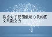 伤感句子配图触动心灵的图文共融之力