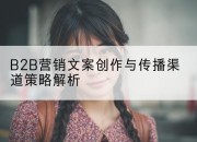 B2B营销文案创作与传播渠道策略解析
