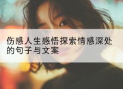 伤感人生感悟探索情感深处的句子与文案