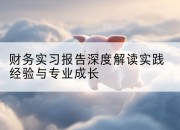 财务实习报告深度解读实践经验与专业成长