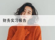 财务实习报告