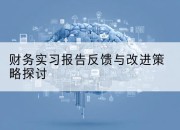 财务实习报告反馈与改进策略探讨