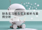 财务实习报告范文解析与案例分析