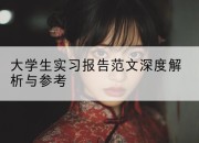 大学生实习报告范文深度解析与参考