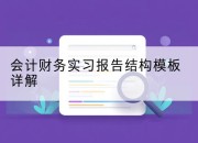 会计财务实习报告结构模板详解