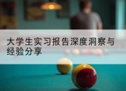 大学生实习报告深度洞察与经验分享
