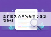 实习报告的目的和意义及案例分析
