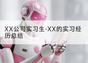 XX公司实习生-XX的实习经历总结
