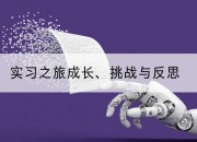 实习之旅成长、挑战与反思