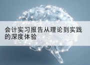 会计实习报告从理论到实践的深度体验