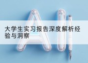 大学生实习报告深度解析经验与洞察