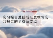 实习报告总结与反思撰写实习报告的步骤及要点