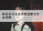 财务实习报告深度洞察与专业洞察