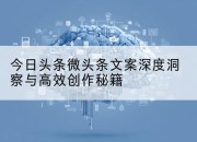 今日头条微头条文案深度洞察与高效创作秘籍