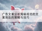 广告文案分析揭秘成功的文案背后的策略与技巧