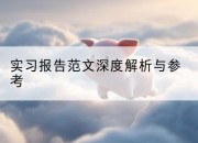 实习报告范文深度解析与参考