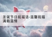 圣诞节日祝福语-温馨祝福满载温情