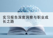 实习报告深度洞察与职业成长之路