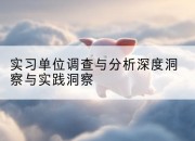 实习单位调查与分析深度洞察与实践洞察