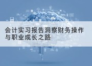 会计实习报告洞察财务操作与职业成长之路