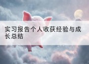 实习报告个人收获经验与成长总结