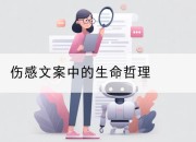 伤感文案中的生命哲理