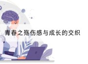 青春之殇伤感与成长的交织