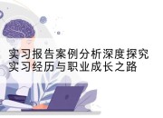 实习报告案例分析深度探究实习经历与职业成长之路