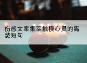 伤感文案集萃触摸心灵的离愁短句