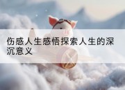 伤感人生感悟探索人生的深沉意义