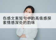 伤感文案短句中的高级感探索情感深处的韵味